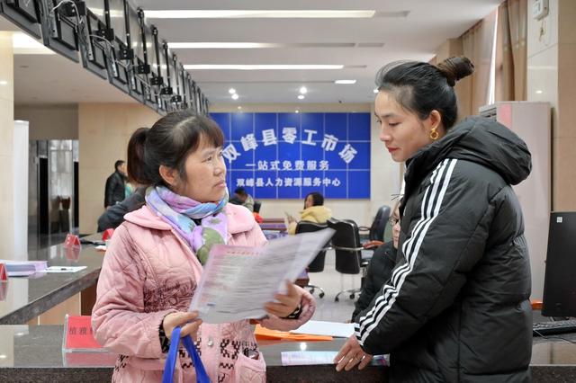 就业  创业  招聘  求职  零工  人才  劳动者