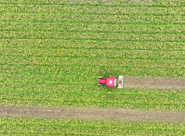 农业
春早
翻耕
春耕
道县