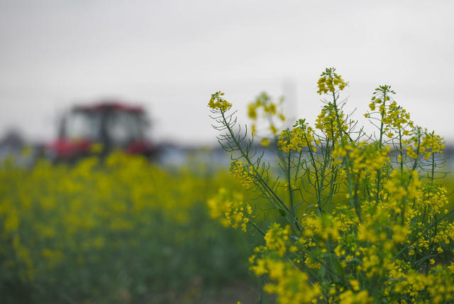 农业
春早
翻耕
春耕
道县
