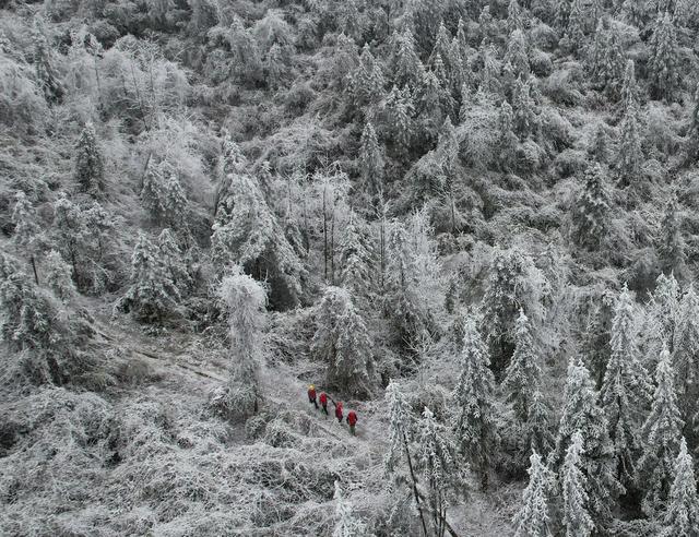  战冰雪    保供电