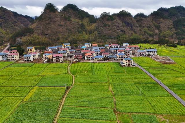 人居环境、乡村、新农村、春天、景色