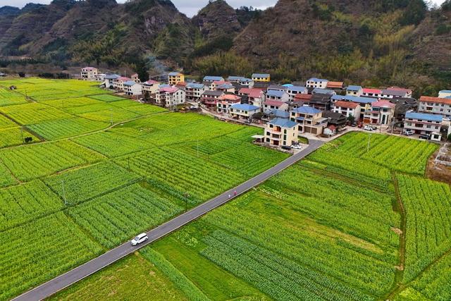 人居环境、乡村、新农村、春天、景色