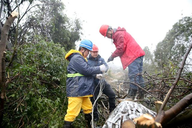寒潮、冰冻天气、电力、线路、应急抢修。
