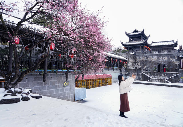 立春，大雪。梅香