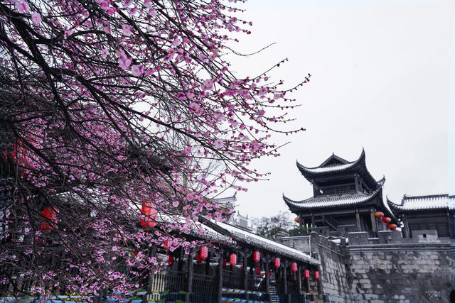 立春，大雪。梅香