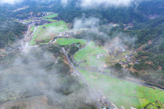 立春、田野、油菜花、春天、农业
