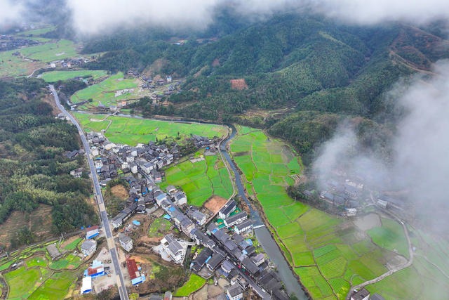 立春、田野、油菜花、春天、农业