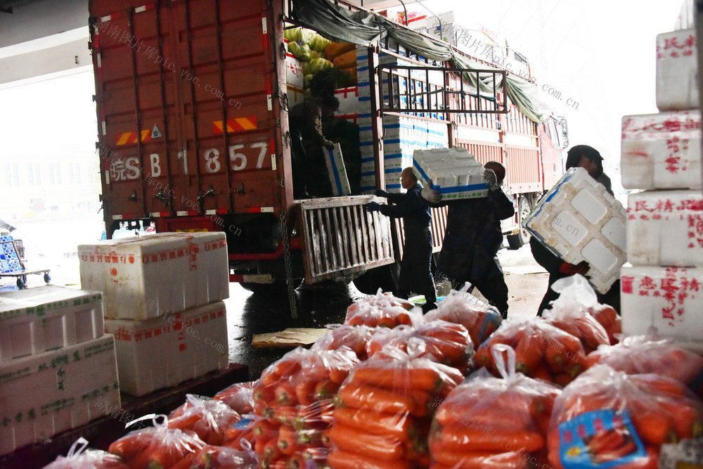 气候 冰冻大雪 春节 蔬菜供应 蔬菜储备 市场保障
