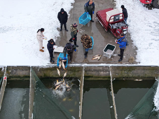 气候 冰冻大雪 春节 蔬菜供应 蔬菜储备 市场保障
