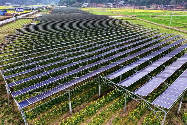 光伏、农业、一地双收、新能源、乡村产业