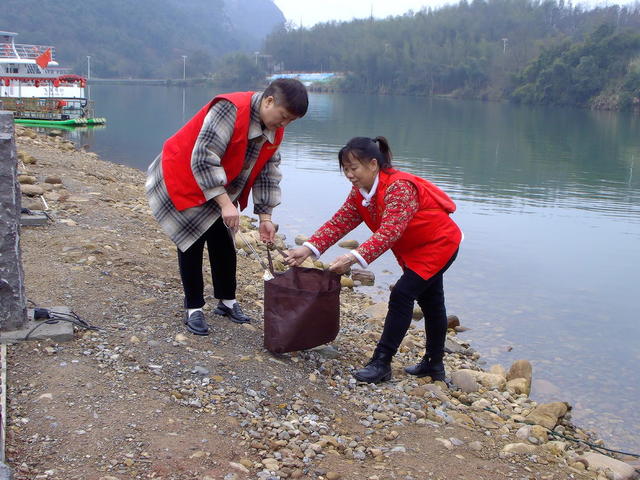 投稿