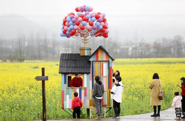 春暖花开 油菜花 春色如画 乡村旅游 乡村振兴