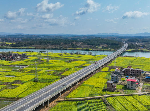 春天
景明
油菜花
道县
春色