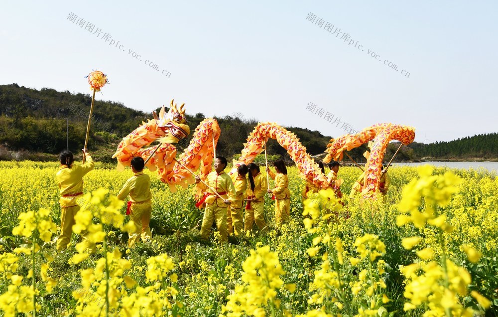 多彩活动欢庆“二月二”