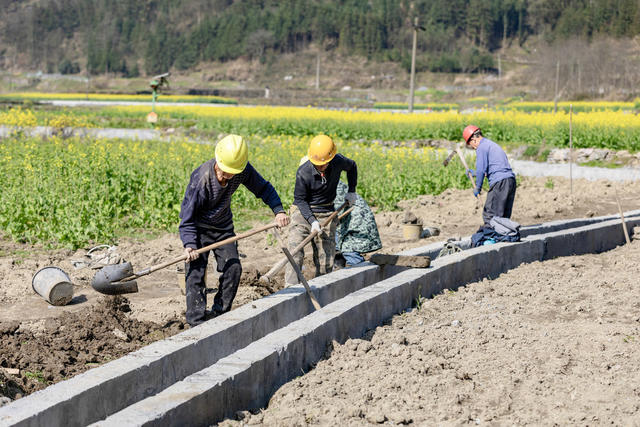 高标准农田建设 吉首 粮食 关侯村 