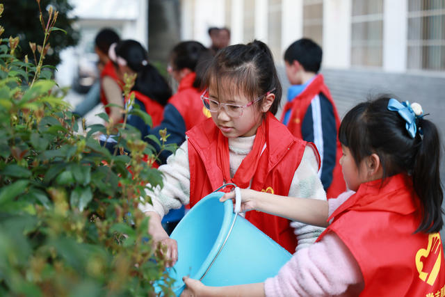 植树节 小学生 植树活动 