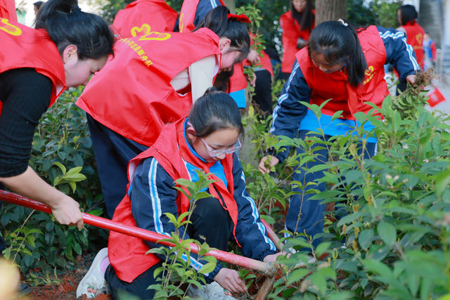 植树节 小学生 植树活动 