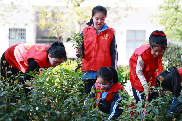 植树节 小学生 植树活动 