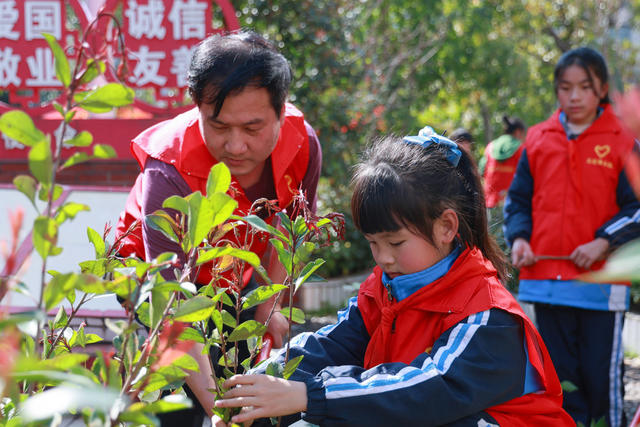 植树节 小学生 植树活动 