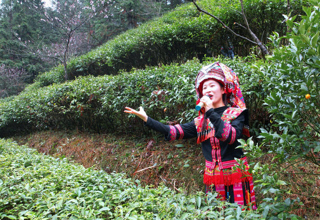 湖南桂东 玲珑茶 茶农 神农雕塑 祈福 园