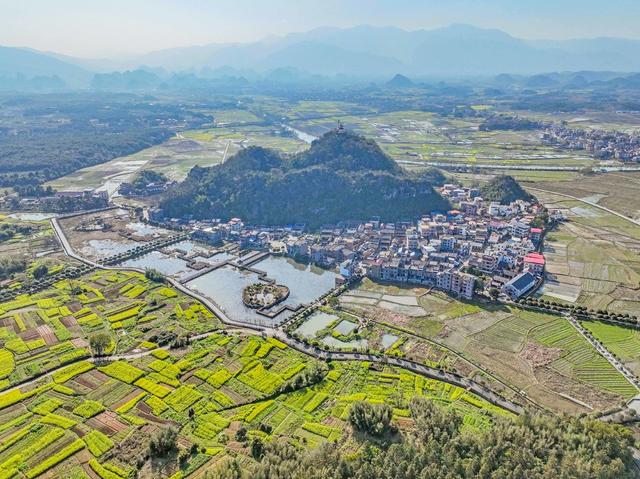 春日
油菜花
安居工程
四好农村公路
道县
