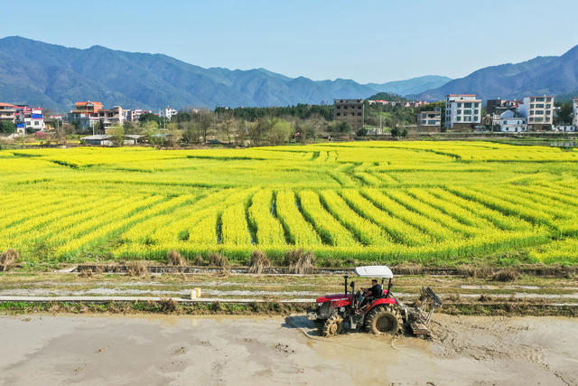 春耕 农业 田间 农忙 农机 犁田 田园