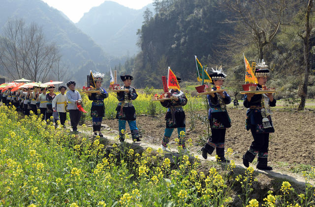 接龙 苗族  非遗 村民 传承