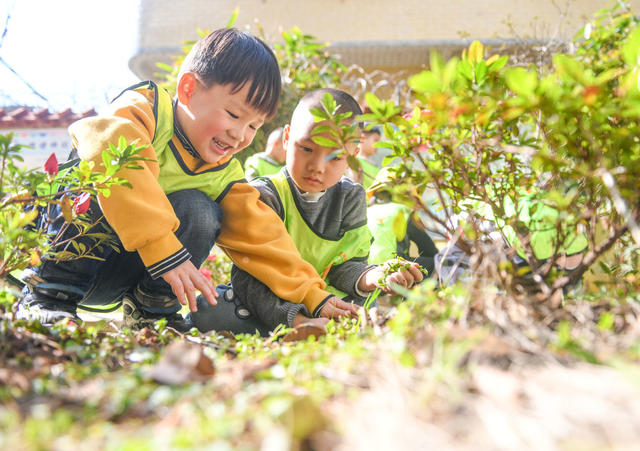 植树节
幼儿园
道县