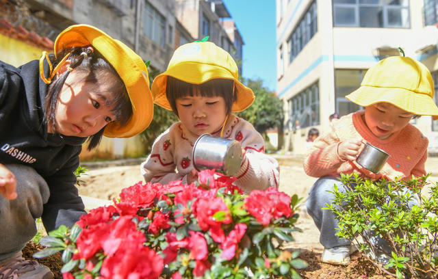 植树节
幼儿园
道县