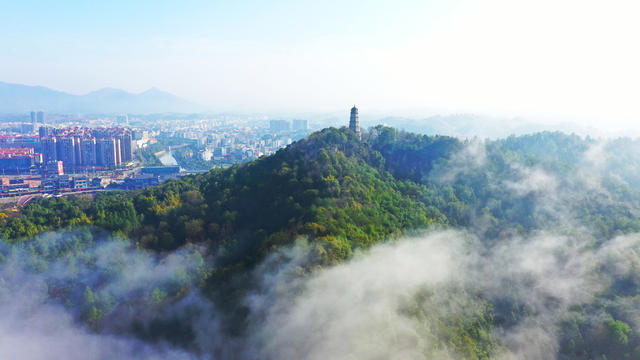 云雾  缭绕  生态  城区