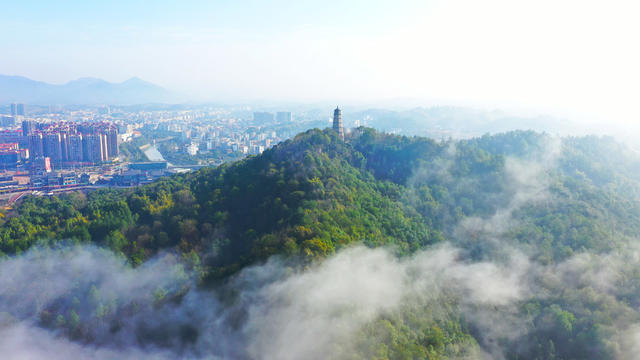 云雾  缭绕  生态  城区
