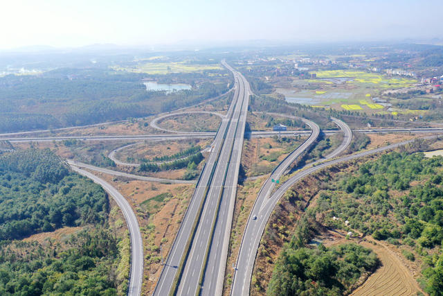 交通 公路 油菜花