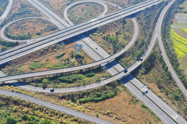 交通 公路 油菜花