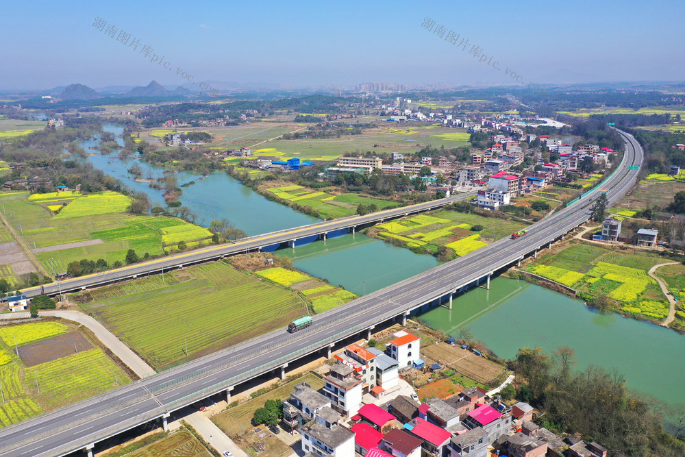 交通 公路 油菜花