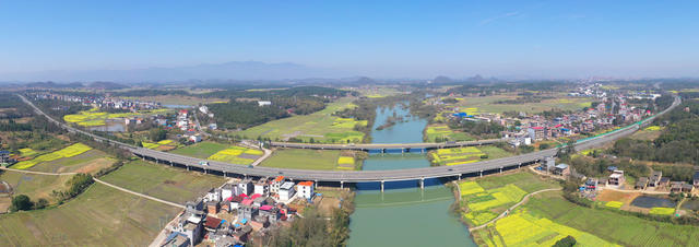 交通 公路 油菜花