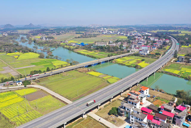 交通 公路 油菜花