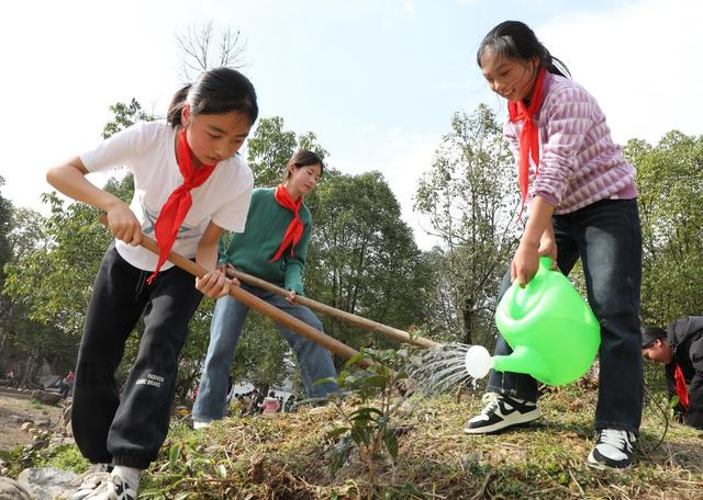 三月春光好   植树正当时
