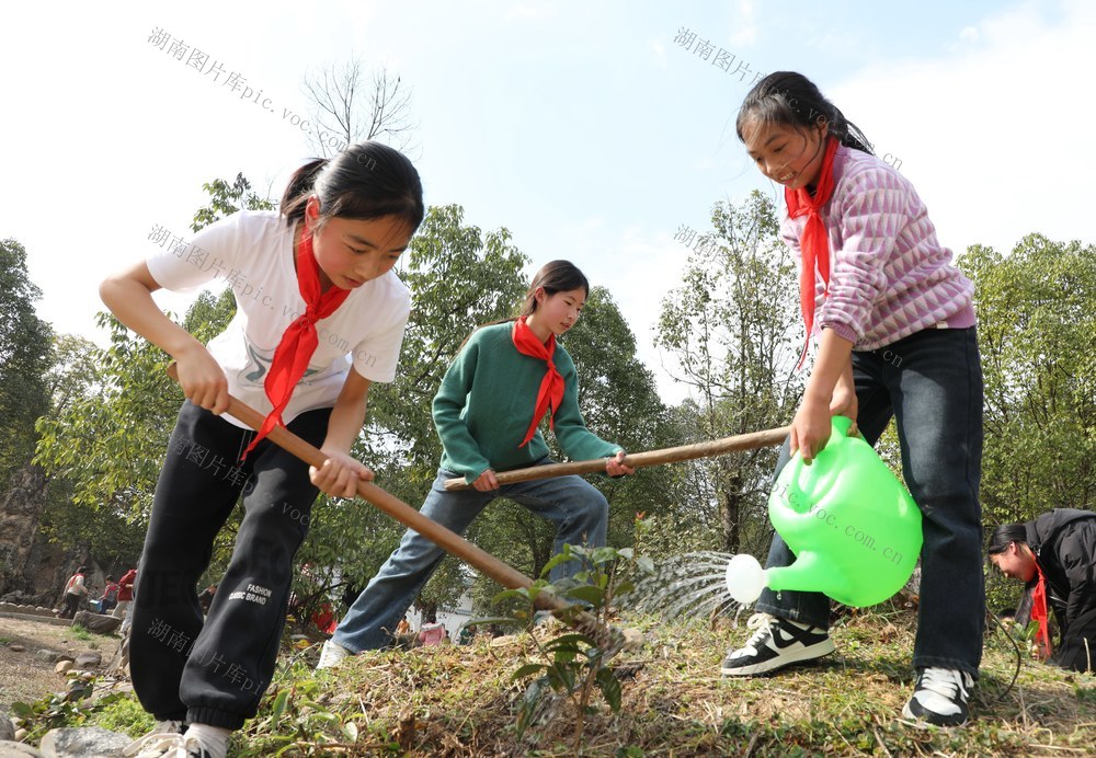 三月春光好   植树正当时