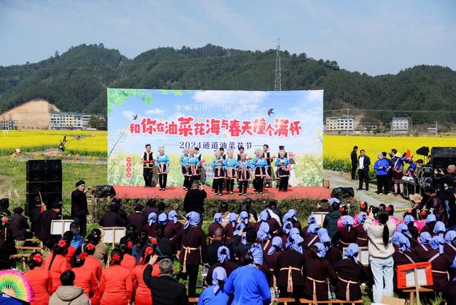 通道    油菜花   赏花    游园
