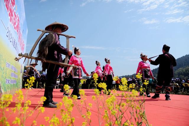 通道    油菜花   赏花    游园
