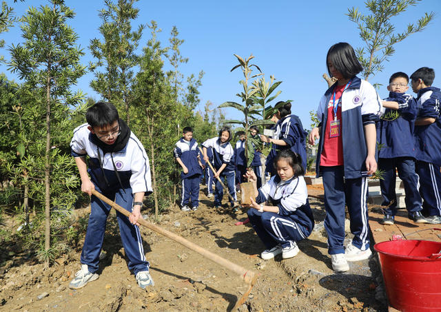 植树
学生