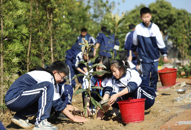 植树
学生