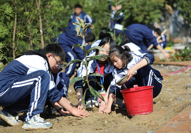 植树
学生