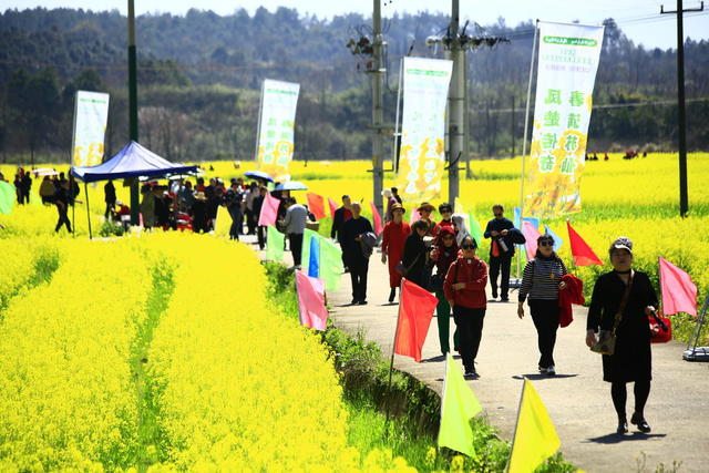 湖南  郴州市  苏仙区 村头村 
 油菜花  栖凤渡镇   黄建华 