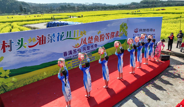 湖南  郴州市  苏仙区 村头村 
 油菜花  栖凤渡镇   黄建华 
