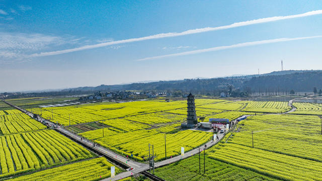 湖南  郴州市  苏仙区 村头村 
 油菜花  栖凤渡镇   黄建华 