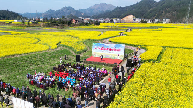 乡村 举办 油菜 花 节村民 身着 侗族 盛装 欢度 节日