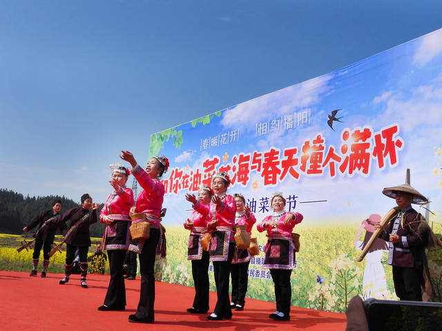 乡村 举办 油菜 花 节村民 身着 侗族 盛装 欢度 节日