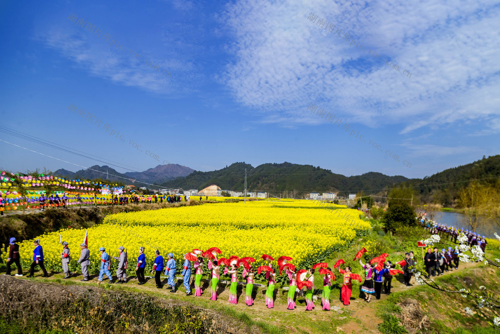 乡村 举办 油菜 花 节村民 身着 侗族 盛装 欢度 节日