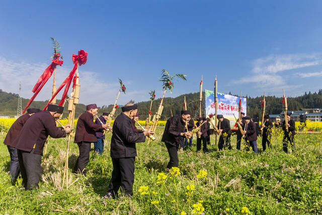 乡村 举办 油菜 花 节村民 身着 侗族 盛装 欢度 节日